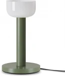 Настольная лампа Freya Barries FR6185TL-L5GN (LED, 220V)