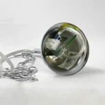 Подвесная люстра Lussole Lgo Phoenix LSP-0184 (220V, на цепи, цветы, IP21)