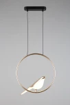 Подвесной светильник Aployt Astor APL.822.06.10 (LED, 220V, на тросе, кольцо, птички)