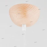 Подвесной светильник Alfa Fotyn 9728 (220V, на проводе, круглые)