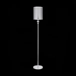 Торшер Evoluce Pazione SLE107105-01