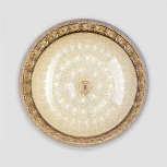 Потолочный светильник светодиодный с пультом с регулировкой цветовой температуры и яркости LED4U LED4U L1110-500 GD