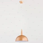 Подвесной светильник Alfa Anja 9649