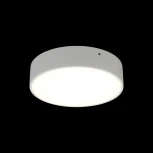 Потолочный светильник круглый Aployt Evon APL.0114.09.18 (LED, 220V, круглые)