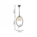 Подвесной светильник Favourite Birds 1594-1P