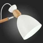 Потолочная люстра Evoluce Balcamo SLE103802-03 (220V)