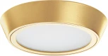 Светильник накладной со встроенными светодиодами Lightstar Urbano 214932 (220V, круглые, IP65)
