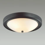 Настенно-потолочный светильник Nina 5260/3C черный E27 3*60W