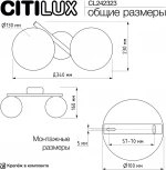 Настенный светильник Citilux Ronny CL242323 (220V, шарики)