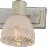 Спот Toplight Shona TL3740Y-04WG