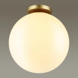 Потолочный светильник уличный Odeon Light Bosco 4249/1C