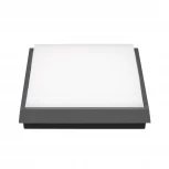 Потолочный светильник уличный Arlight AREA 032426 (LED, 220V, IP54)