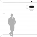 Потолочная люстра Lightstar Amerigo 746048 (220V)