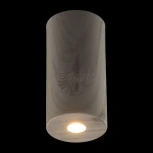 Потолочный светильник круглый DeMarkt Иланг 712010901 (LED, 220V)