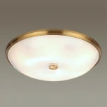 Настенно-потолочный светильник Odeon Light Pelow 4956/6