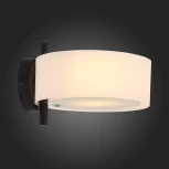 Бра ST Luce Foresta SL483.401.01