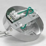 Подвесная люстра Lussole Lgo Idaho LSP-8999 (220V, на цепи, шар, листья, IP21)