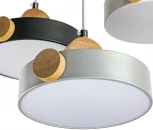 Подвесной светильник светодиодный Ritter Scandia 52078 8