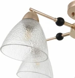 Потолочная люстра на штанге Arte Milano Napoli 324119/5 FG+BK (220V)