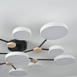 Потолочная люстра с пультом на штанге LED Lu Carte LC-11-1716