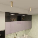 Точечный светильник накладной Denkirs Tube DK2051-SG (220V, круглые)