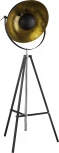 Торшер-прожектор на треноге Globo Xirena 58286 (220V)