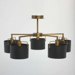 Потолочная люстра MW-Light Сайрус 721010205