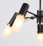 Потолочная люстра F-Promo Viator 2558-5P (220V)