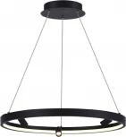 Подвесной светильник со спотами Donolux Aura Spot S18866R30W1B600 (LED, 220V, на тросе, круглые)