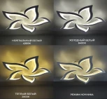 Потолочная люстра Seven Fires Lorens SF5018/5C-WT