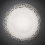 Настенно-потолочный светильник Citilux 917 CL917010 (LED, 220V)