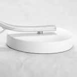 Интерьерная настольная лампа Lussole Lgo Falcon LSP-0558 (220V, IP21)