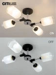 Потолочная люстра на штанге Эрик CL136145 Citilux