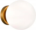 Настенно-потолочный светильник Acini SL717.201.01 Evoluce