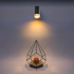 Точечный светильник накладной Wolta WSL-GU10/10BG под лампу GU10 Черный / Золотой CELLA