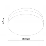 Потолочный светильник круглый Globo OPAL 48403 (220V)