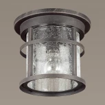 Потолочный светильник уличный Odeon Light Virta 4044/1C (220V, IP44)