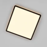 Настенно-потолочный светильник светодиодный с подсветкой Citilux Norma CL748K301 (220V, IP40)