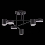 Потолочная люстра Evoluce Nobel SLE201042-06
