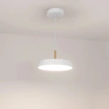 Светильник SP-ELEGANT-R300-17W Day4000 (WH, 120 deg, 230V) (Arlight, IP20 Металл) 033919(1)