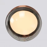 Подвесной светильник Favourite Luna 4371-1P (LED, 220V, на проводе, шар)