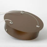 Подвесной светодиодный светильник Lussole Dade LSP-7250 (220V, на тросе, круглые)