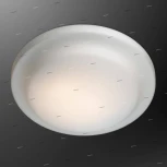 Настенно-потолочный светильник Odeon Light Tavoy 2760/2C