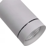 Трековый светильник Lightstar Canno 303592