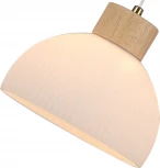 Подвесной светильник Arte Lamp A4184SP-1BR Caprice