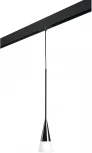 Трековый светильник однофазный 220V Lightstar Conicita PRO804117