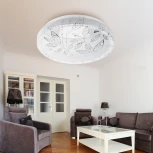 Потолочный светильник светодиодный ЭРА SPB-6-24-4K Syuzi