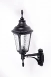 Настенный фонарь уличный Oasis Light 79751S Bl (220V, IP44)