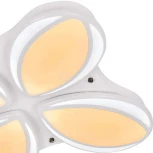 Потолочный светильник Adilux 1011