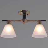 Потолочная люстра на штанге Reluce 09112-3.3-02 FG+BK